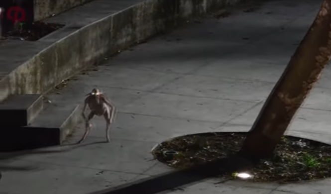 Жуткие существа в лесах. Нечто необъяснимое. Нечто необъяснимое началось по всему миру. Самые страшные необъяснимые вещи. Нечто необъяснимое.