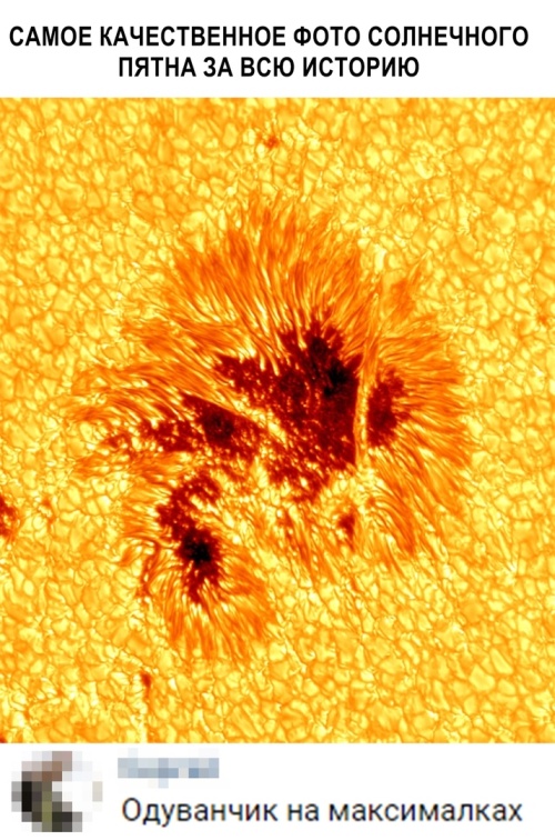 Подборка прикольных картинок  смешные картинки