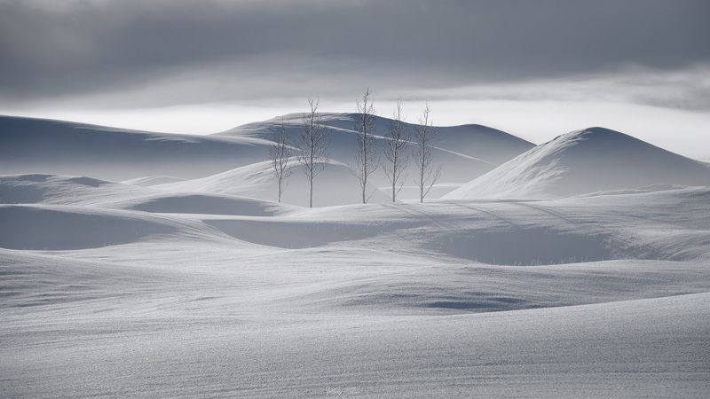 Stillness of Icelandic winter wonderland