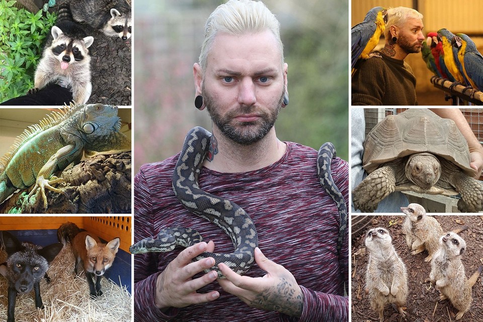 У любителя зверушек изъяли 113 экзотических домашних животных после ссоры с женихом