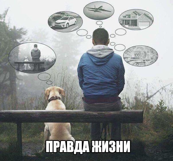 смешные картинки с надписями весело, прикол, юмор