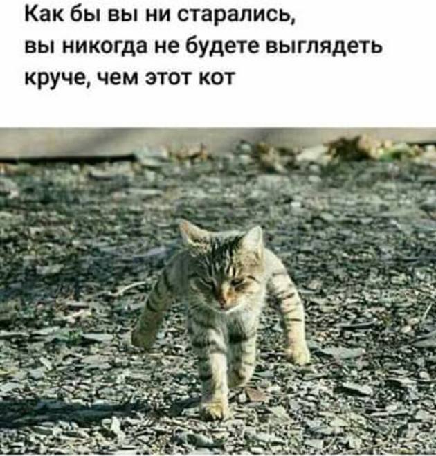 Семейная пара у врача:  - Доктор, моя жена совсем не хочет заниматься сексом... весёлые, прикольные и забавные фотки и картинки, а так же анекдоты и приятное общение