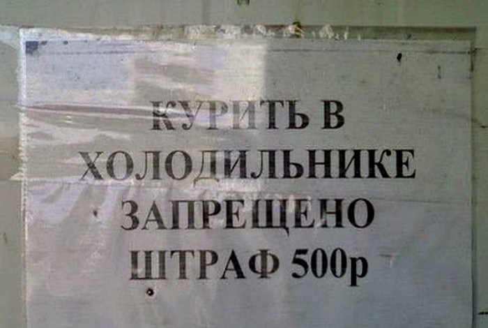 Краски жизни: 17 курьезных ситуаций, которые заставят улыбнуться