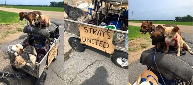 20 сильных фотографий, возвращающих веру в человечество, которые стоит увидеть каждому. 20 сильных фотографий, возвращающих веру в человечество, которые стоит увидеть каждому. жизнь,люди,фото,человечность и гуманизм