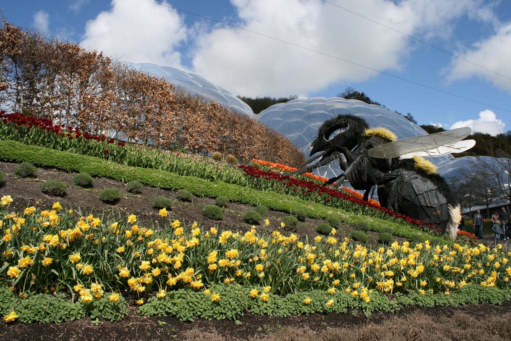 The Largest Greenhouse 12 Самая большая теплица в мире