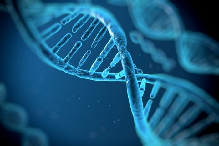 Научные открытия, сделанные благодаря изучению древней ДНК