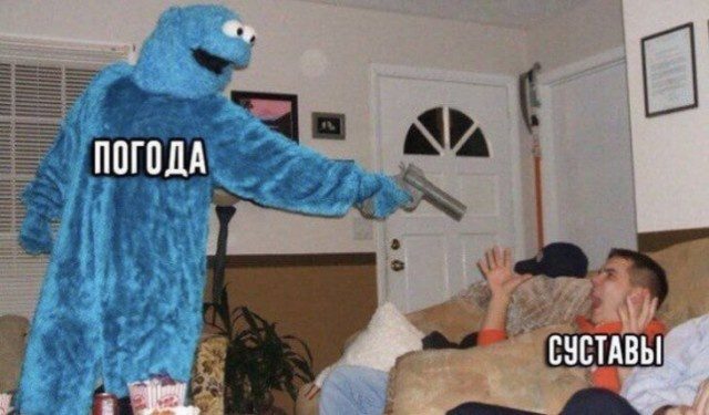 Немного прикольных картинок дня 