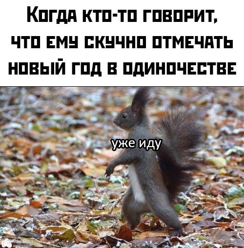 Этот праздник не закончится никогда! Согласны? Этот праздник не закончится никогда! Согласны? позитив,смешные картинки,фото-приколы,юмор