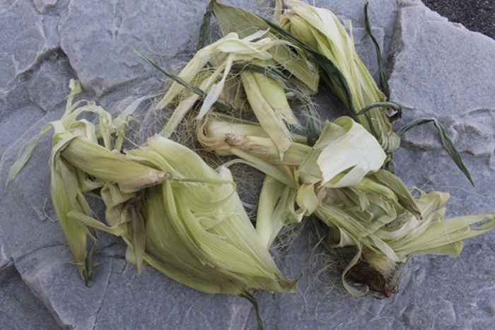 Секреты спецназа: как можно использовать обычные листья домашн й очаг,полезные советы,рукоделие,своими руками