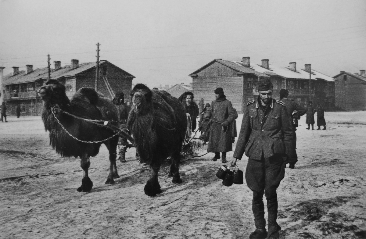 фронт и тыл Великой Отечественной на снимках советских военных фотографов lipskerov 1200 3