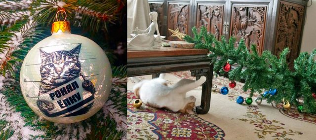 Спасти новогоднюю елку от кота – выполнима ли миссия квартире, деревце, чтобы, елочку, понимаем, животных, наоборот, особенно, питомцев, интересно, елочки, пытаются, новогоднюю, изолировать, например, Новый, просто, мандарины, домашних, гвоздикиТакже