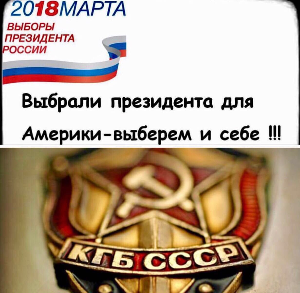 Все  на  выборы!