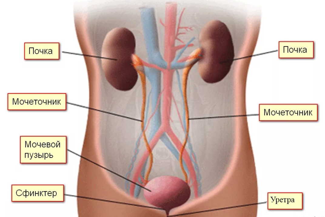"Точка Конфуция" - особое место силы на теле человека