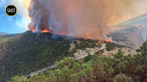 Огонь охватил уже 28 гектаров леса между Анапой и Абрау-Дюрсо и зашел на территорию заповедника Утриш