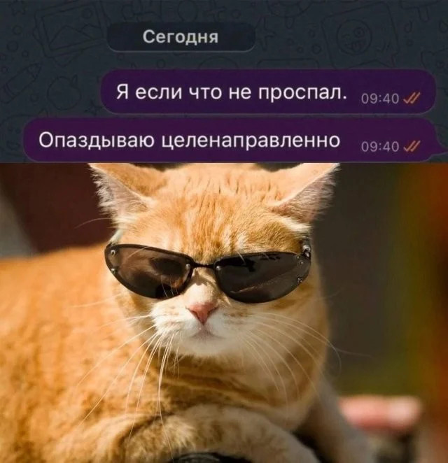 Шутки должны быть неожиданными. Как веер у бомжа 