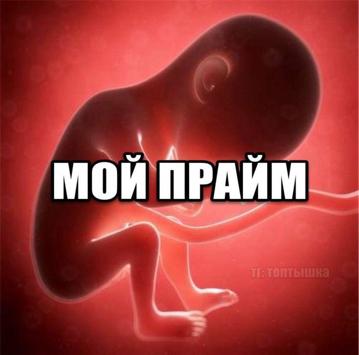 Эффект главного героя: что такое прайм, о котором говорят зумеры, и как его достичь жизнь, своей, жизни, наступает, кажется, можно, нужно, времени, прайме, хотите, такое, праймфото, жизнью, забывать, вперед, должен», получится, часто, прайм, может