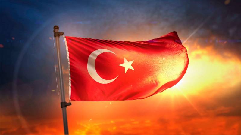 Проблема в персоне. Заменят ли американцы Эрдогана? геополитика