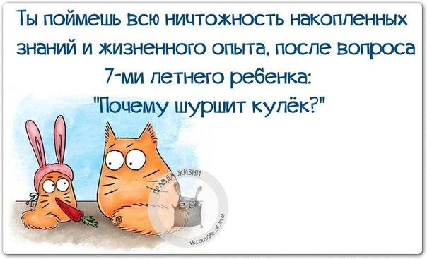 Трудно в темной комнате найти черные носки, если они не пахнут                                 