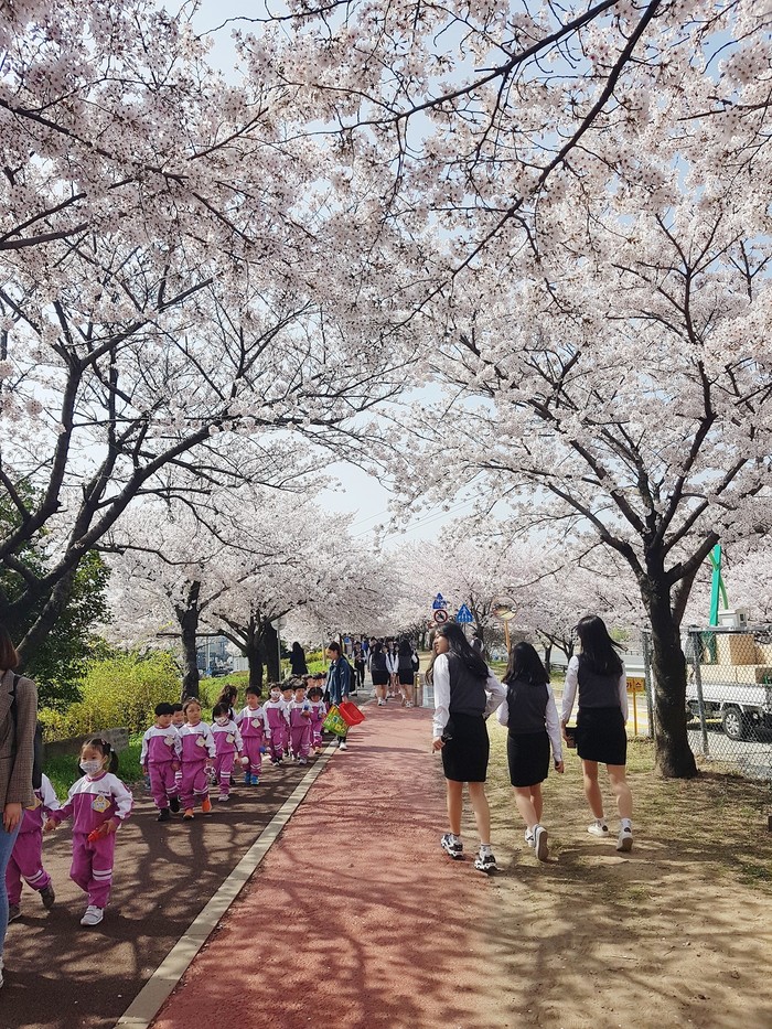 Россиянка делится наблюдениями из жизни в Южной Корее Россиянка делится наблюдениями из жизни в Южной Корее