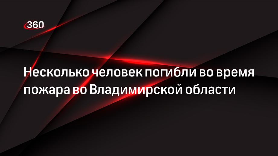 Несколько человек погибли во время пожара во Владимирской области