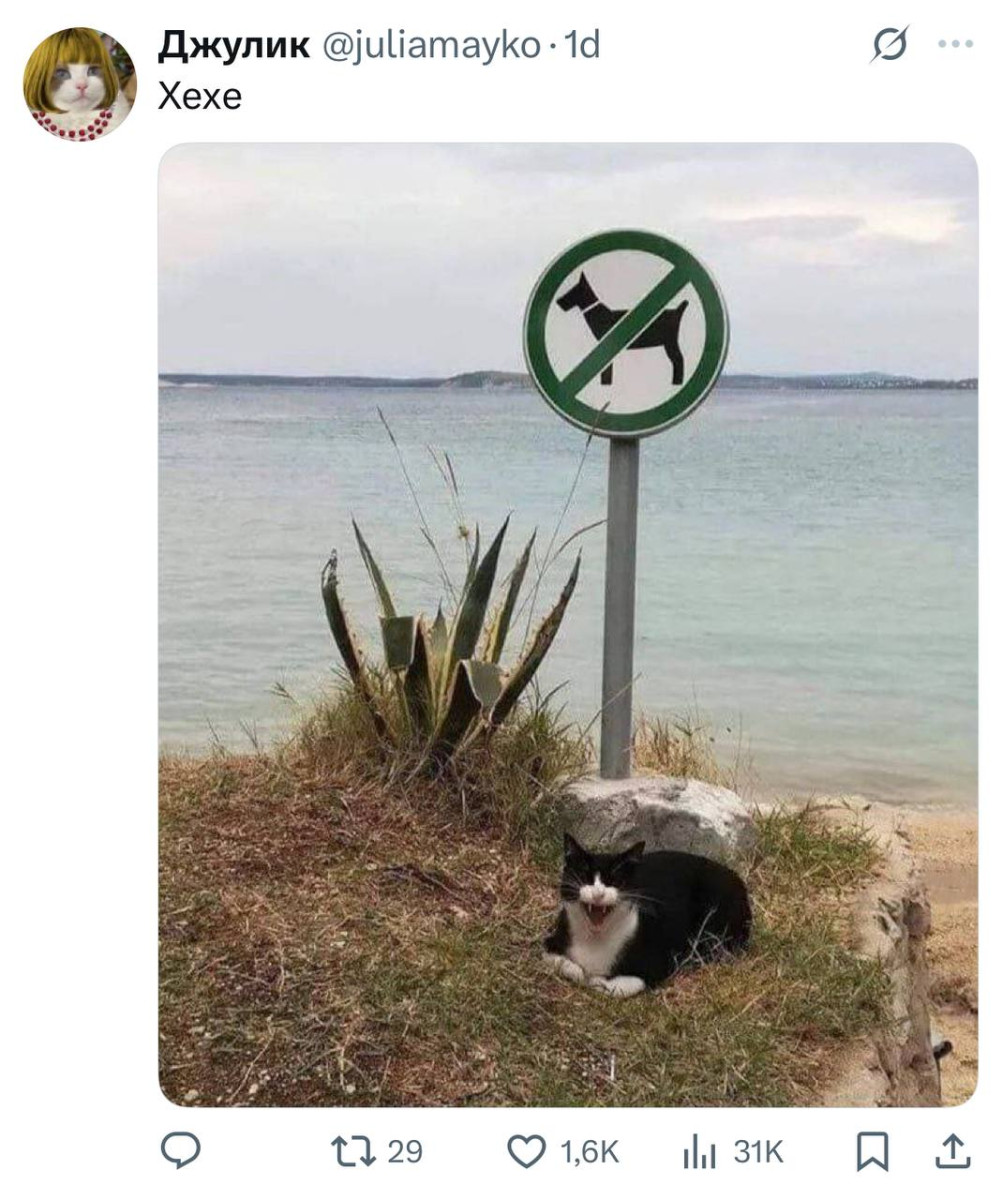 Третий лишний… когда второй контрольный 