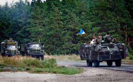 Командиры «Айдара» * подняли руки вверх украина