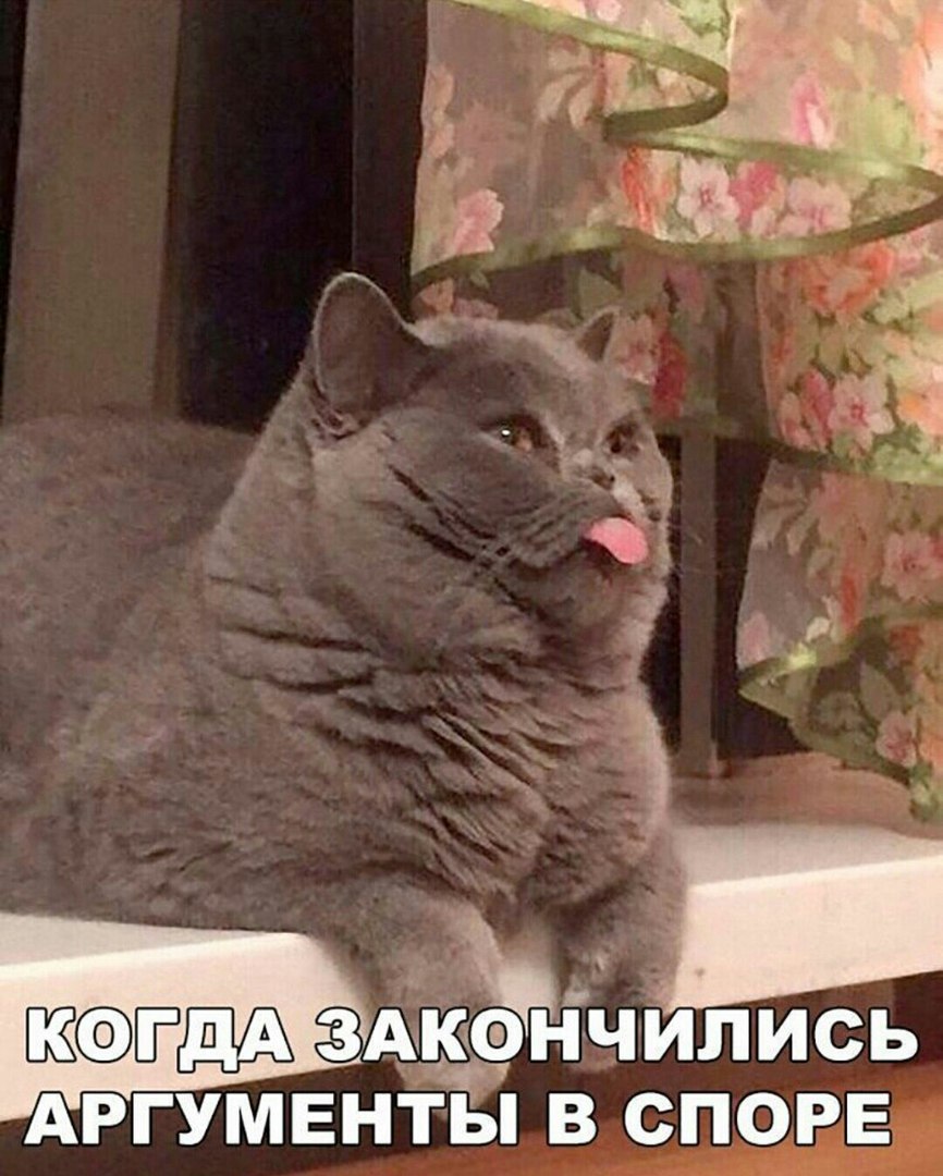 Подборка веселых картинок и ярких фотографий с надписями 