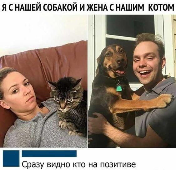 Самые лучшие забавные картинки Самые лучшие забавные картинки