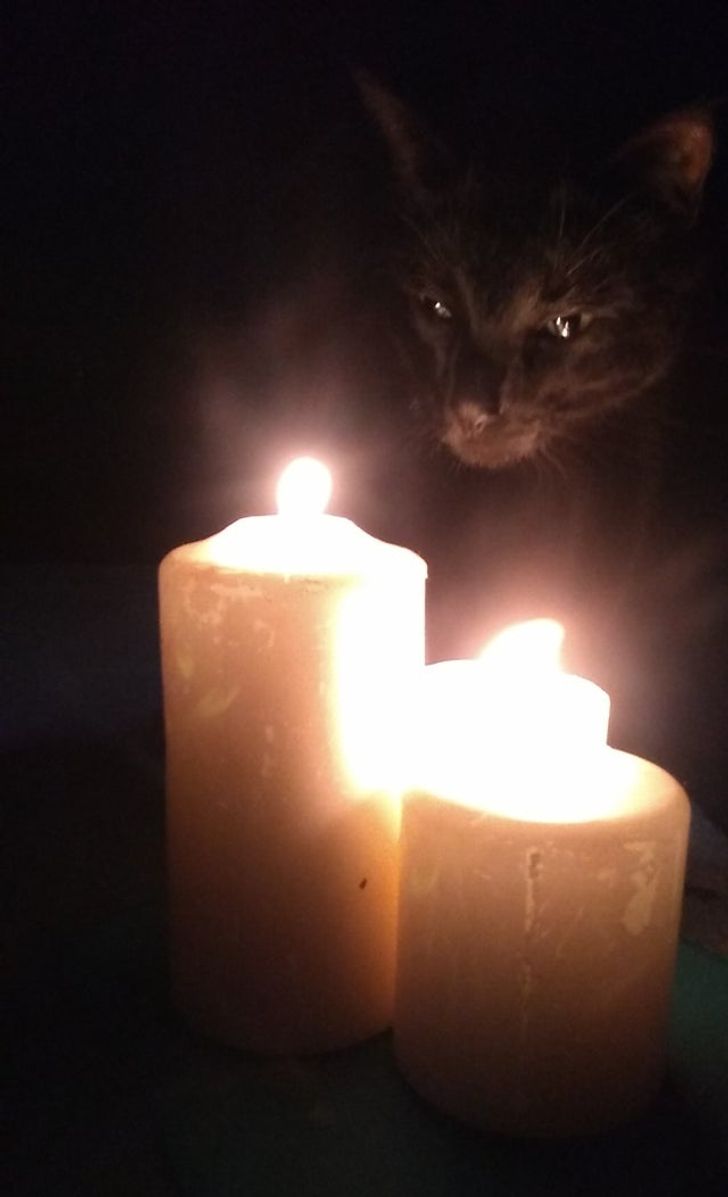черный кот и свечи