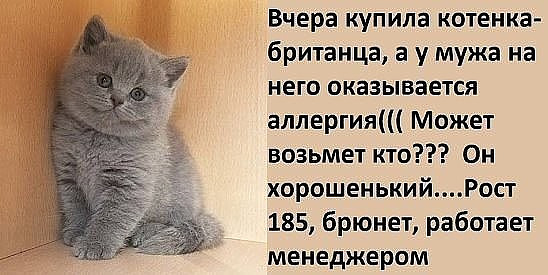 Разговаривают двое.- Представляешь, прихожу домой, открываю шкаф — а там… юмор, приколы,, Юмор