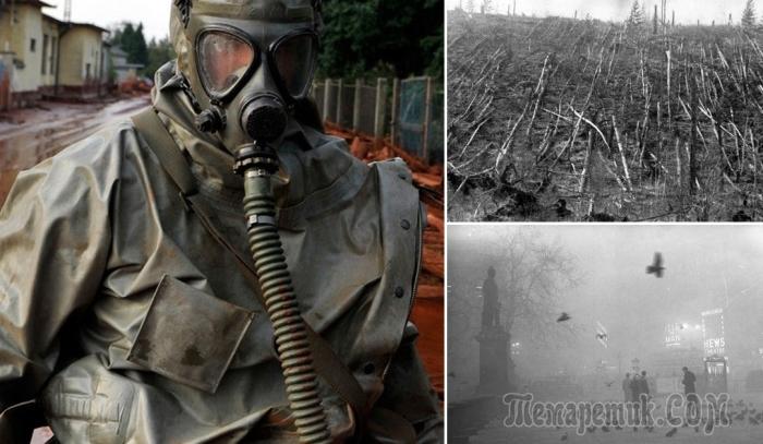 7 самых странных катастроф за последние 100 лет