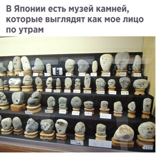 Позитивные и жизненные картинки с надписями со смыслом (12 фото)