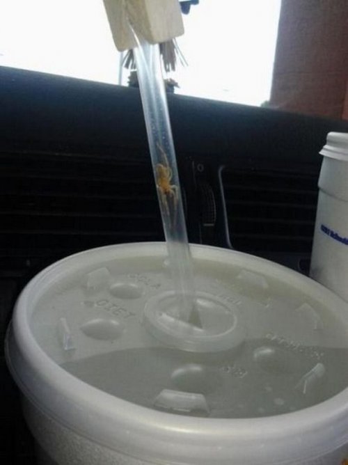 Что здесь происходит?! (24 фото)