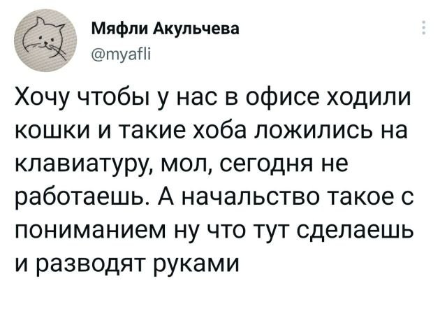 Подборка забавных твитов обо всем