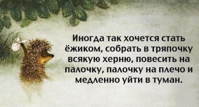 Из всех эротических фантазий привлекает лишь та, где я снимаю с себя всю одежду... Весёлые,прикольные и забавные фотки и картинки,А так же анекдоты и приятное общение