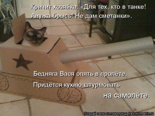 Самая убойная котоматрица 