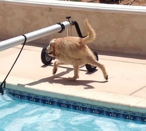 Что ты такое?! Что ты такое?!