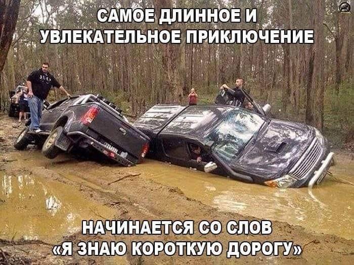 Гусеничный трактор зацепил при развороте 600-го мерина..