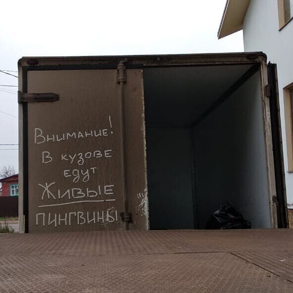 Странные и нелепые надписи на машинах  смешные картинки,фото-приколы,юмор