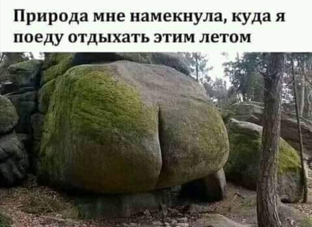 Яркие шутки и анекдоты для теплого настроения 