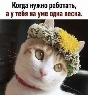 Некоторые люди бывают очень странными: то они не любят понаехавших, то поуехавших всегда, Трампа, стоит, когда, теперь, каждый, наших, может, только, санкции, через, чтобы, России, среди, безопасности, нефти, остаётся, всего, урана, железа