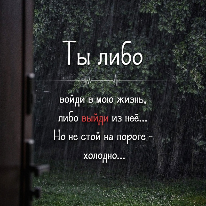 Настоящий джентельмен - это тот, кто кошку всегда называет кошкой, даже если он о нее споткнулся и упал...)) Настоящий джентельмен - это тот, кто кошку всегда называет кошкой, даже если он о нее споткнулся и упал...)) веселые картинки
