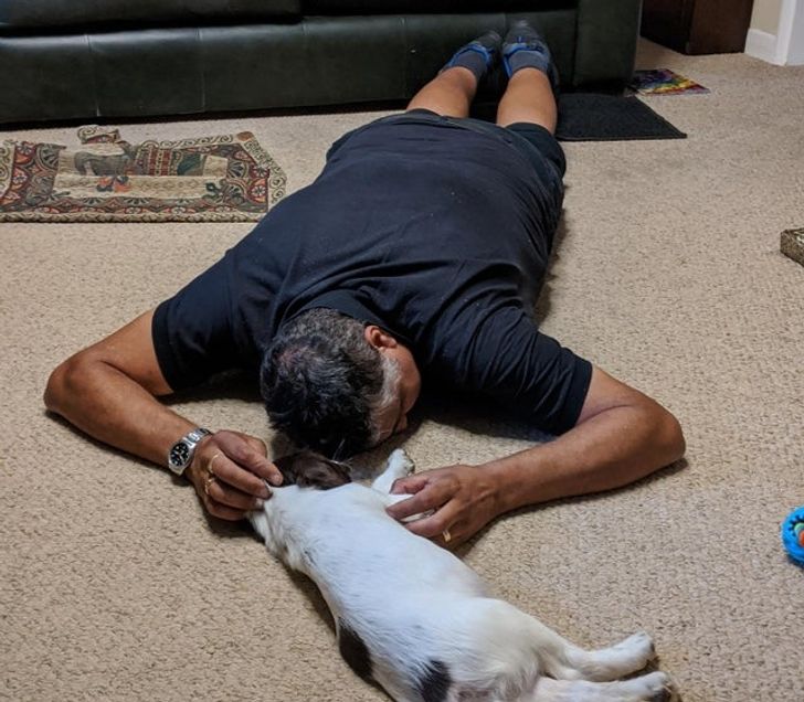 мужчина лежит с собакой на полу
