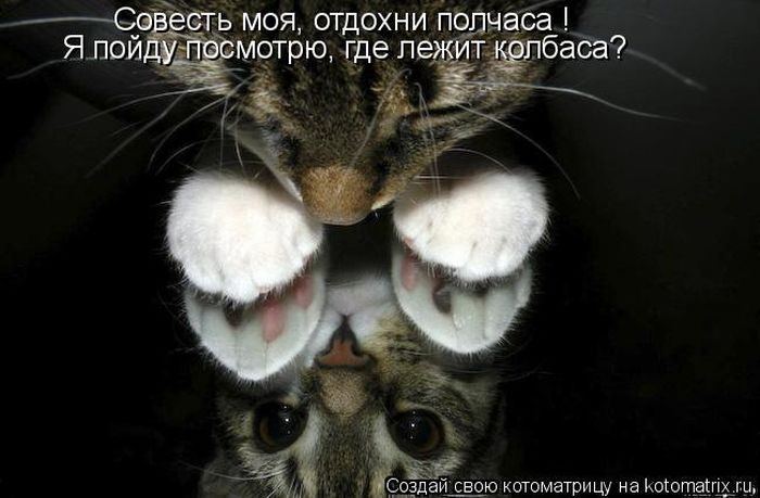 Мысли вслух :)