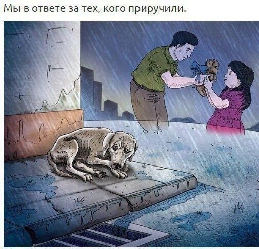 Прикольные картинки со смыслом Прикольные картинки со смыслом