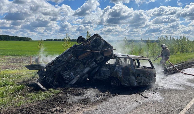 За три дня на дорогах Белгородской области в ДТП погибли 11 человек