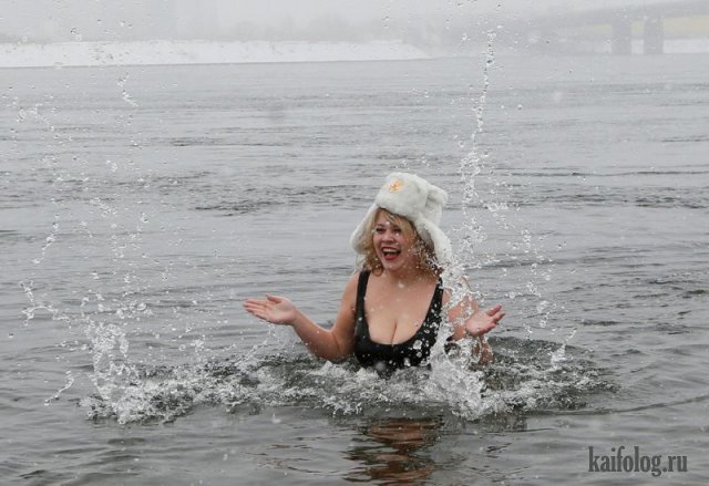 Тату позволяет отличить в стаде одного осла от других