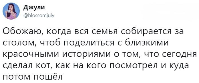 Сборник смешных и жизненных историй — сетевой позитив для отличного дня Сборник смешных и жизненных историй — сетевой позитив для отличного дня