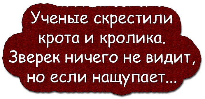 Заблудился мужик в пустыне. Тут смотрит-лампа лежит...