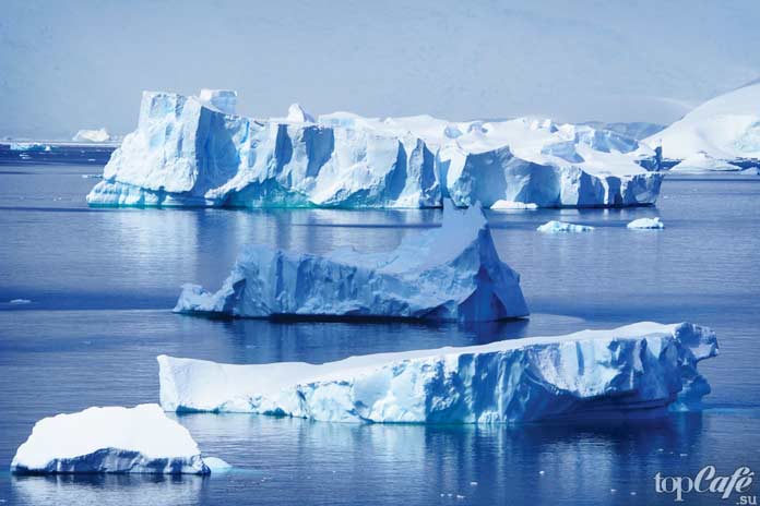 Интересные факты про Антарктиду: Самое протяженное течение